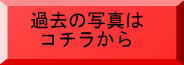 過去の写真はコチラから